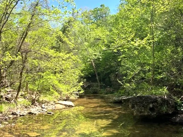 Wilderness Spring Trail Tract Yyyy, Harrison, AR 72601