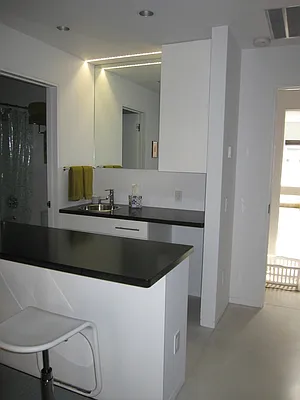 Rented by NY Living Solutions | media 9