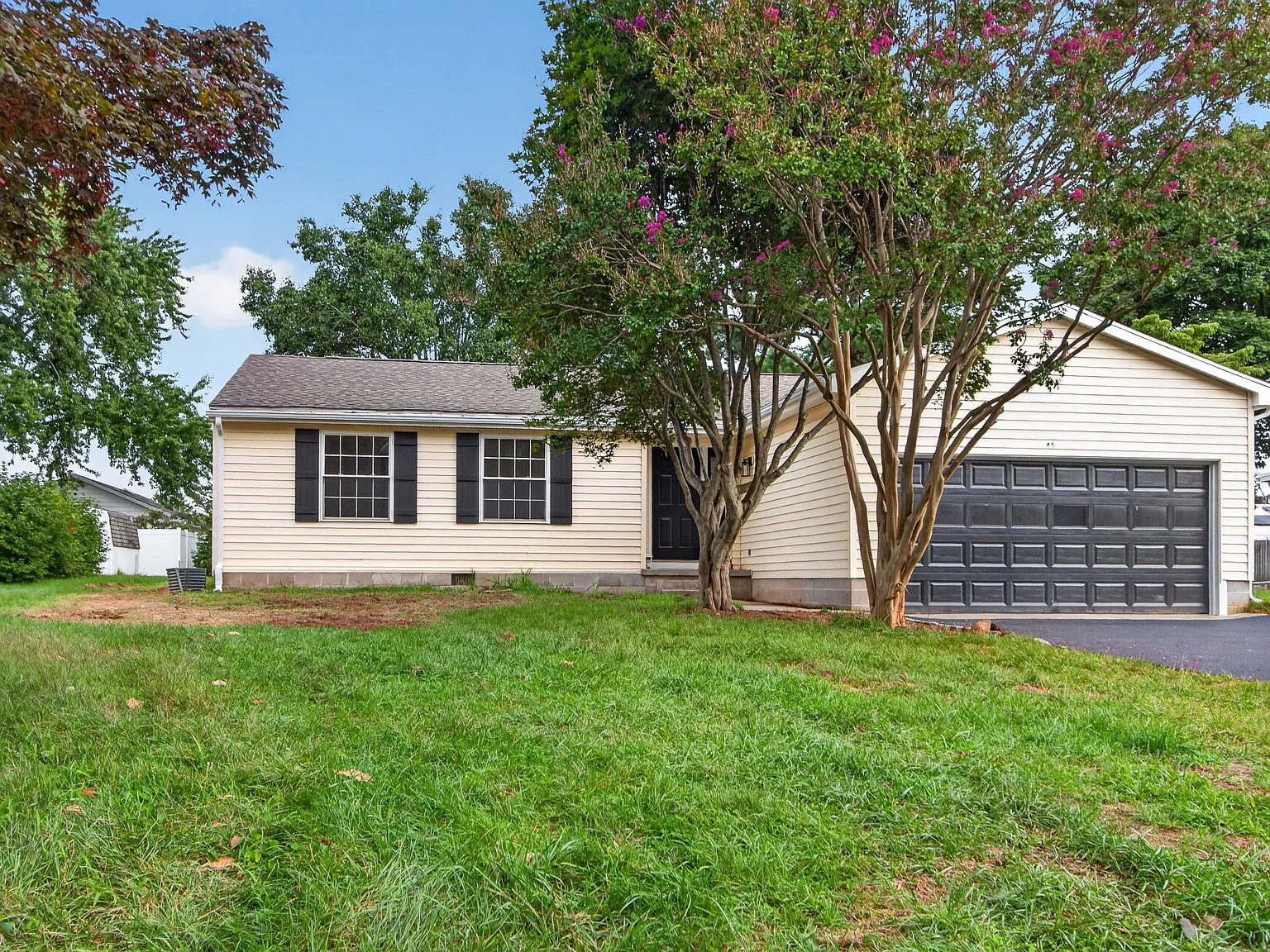 3 bed, $2,700 — Photo 4