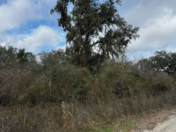 59th Dr, Wellborn, FL 32094