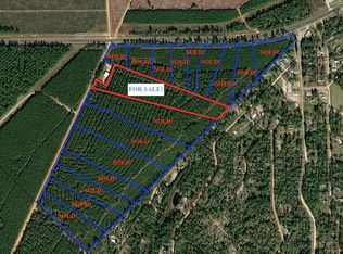 Richardson Rd E, Livingston, TX 77351