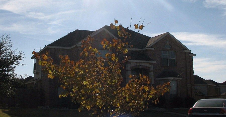 2nd image of 6805 Black Mesa Ct