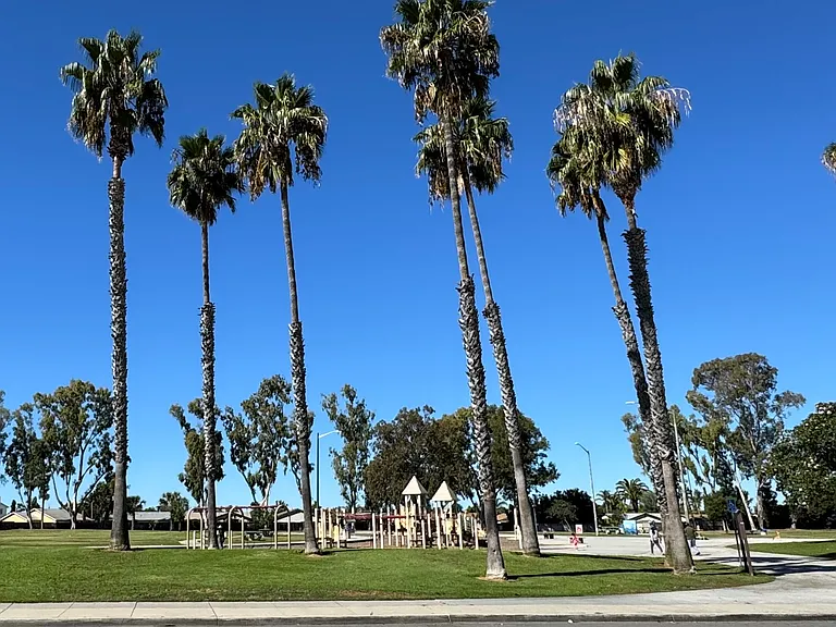 8790 Capricorn Way — Photo 22