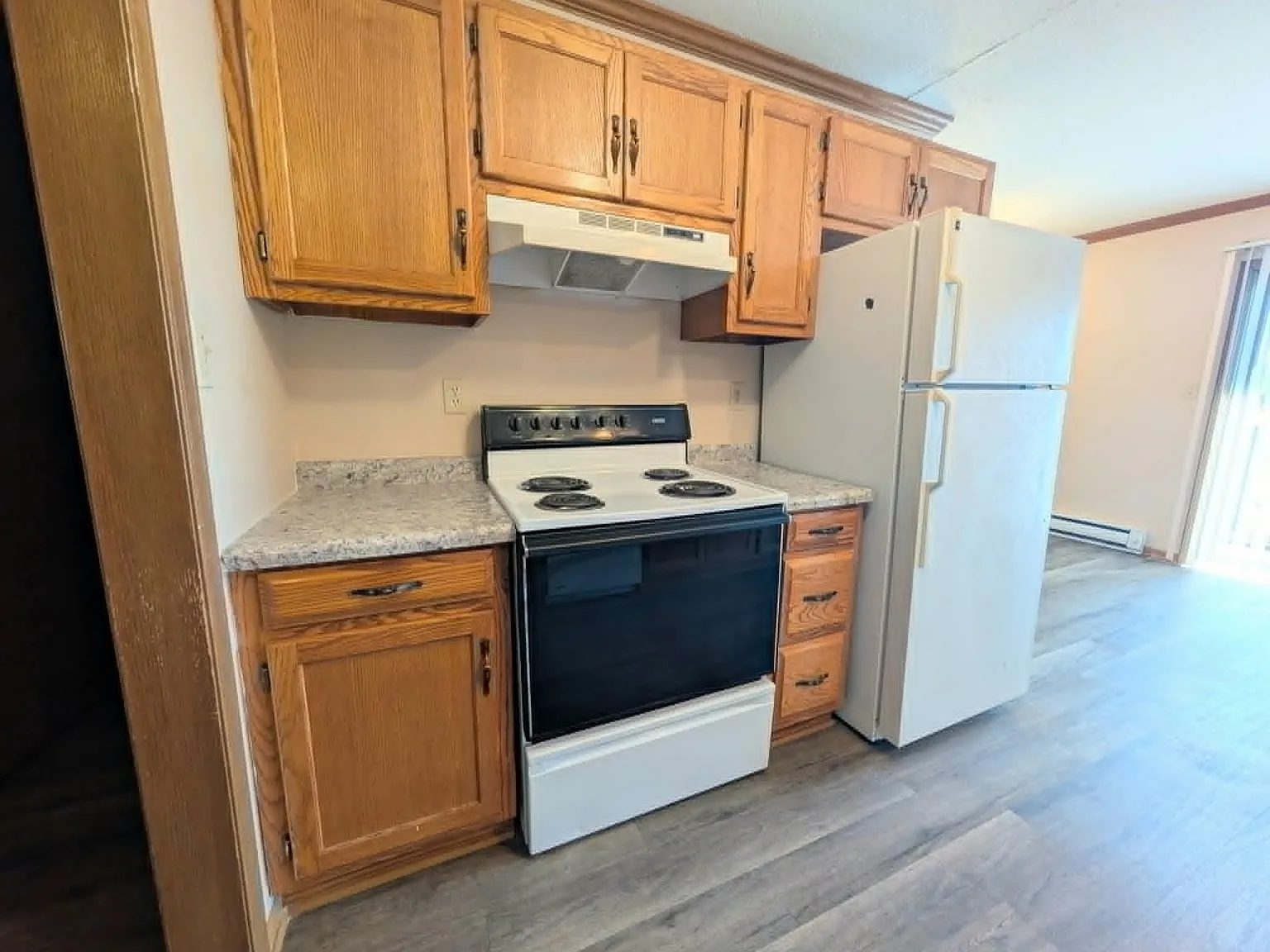 1020 Beauchamp Ave Manteno IL 60950 — Photo 4
