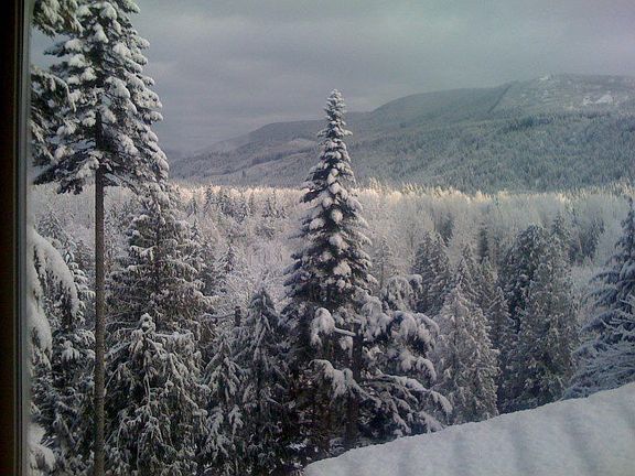 Winter wonderland!