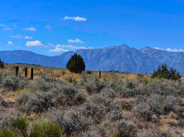 Veris Ct, Gardnerville, NV 89410