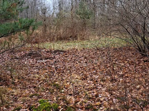 3976 Pine Rd, Caro, MI 48723