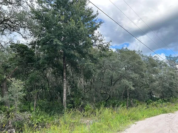 SW 152ND PLACE LOT 97, DUNNELLON, FL 34433