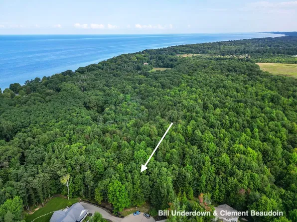 LOT 6 Wild Turkey Ln, Fennville, MI 49408