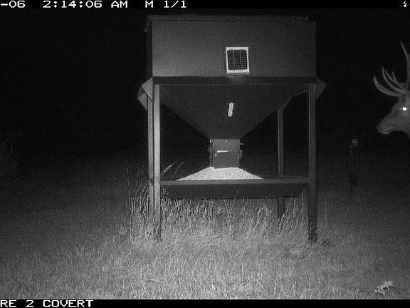 4th image of 5 Road Lot Wp001