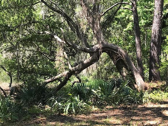 2nd image of 2907 River Rd