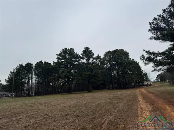 510 W Sterling Price St, Tatum, TX 75691