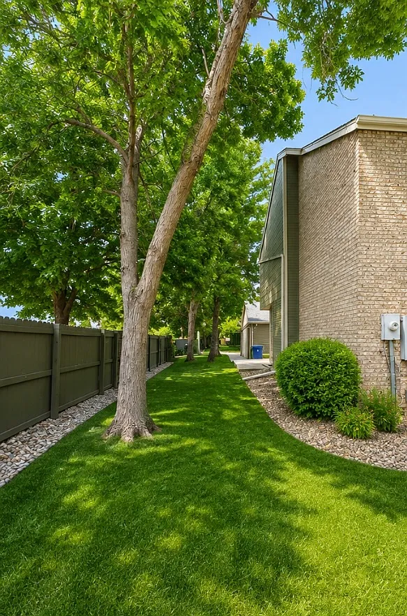 3 bed, 1775 sqft, $3,500 — Photo 4
