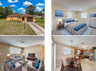 11094 Auburndale St, Spring Hill, FL 34609