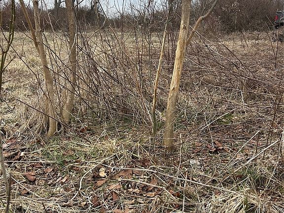 2nd image of 6957 Perrys Den Rd