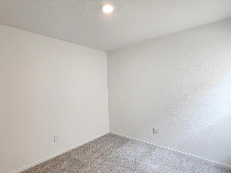 16723 Old Wagon Way — Photo 30