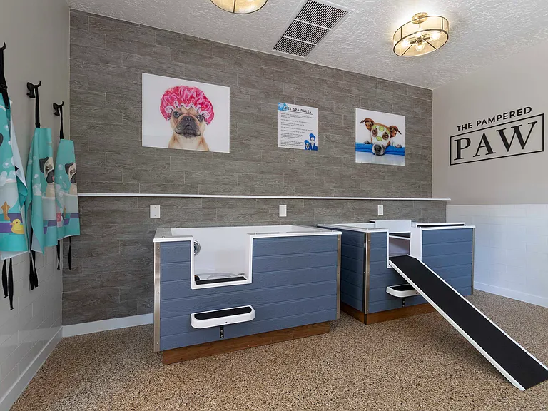 The Pampered Paw pet spa