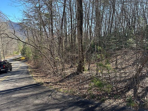 3rd image of LOT 103 Asheland Cove Dr