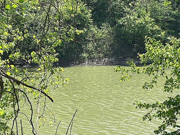 2nd image of 3925 Jackson Ferry Rd