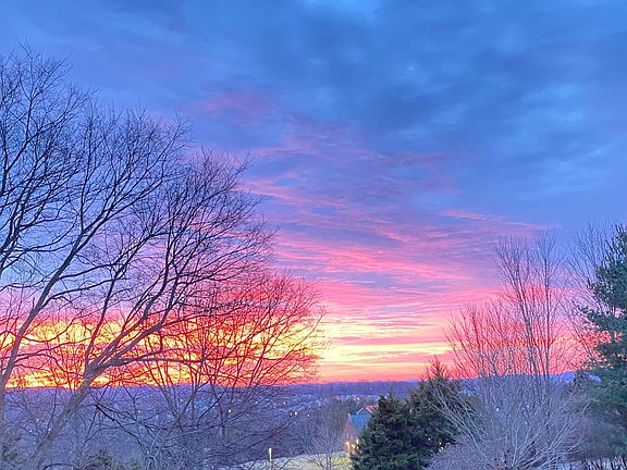 Beautiful sunrise view from the backyard