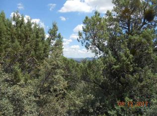 1119 S Promontory Way, Payson, AZ 85541