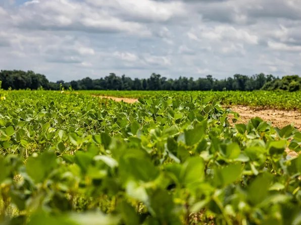 0 J J Hatton Rd, Winnsboro, LA 71295