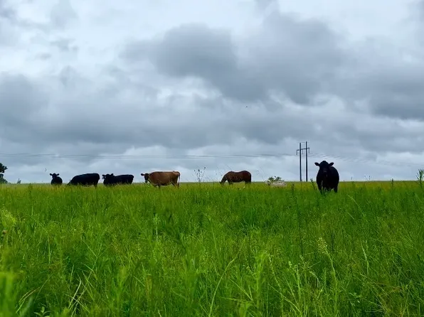 0 Lynntown Rd, Colins, GA 30421