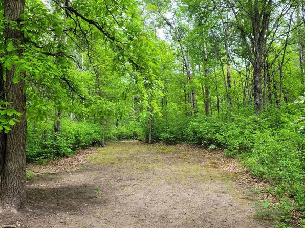 State Highway 84 NW, Pine River, MN 56474