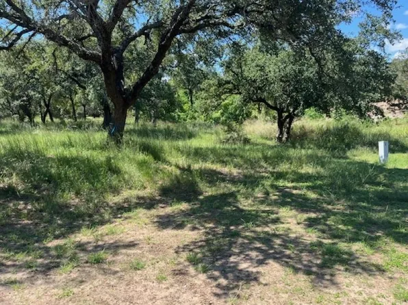W1114 Blister Gold, Horseshoe Bay, TX 78657