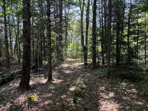 Lot 30-A Hollin Waite Hill Road, Anson, ME 04911