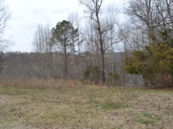 Lots 4&5 Fox Hill Rd, Baxter, TN 38544