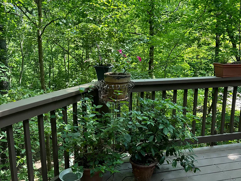 115 Treetop Knoll Dr — Photo 10