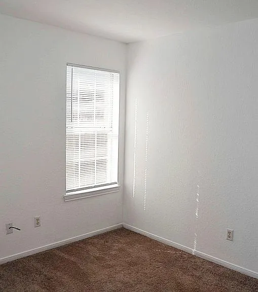 3805 Hitchrock Dr #A — Photo 21