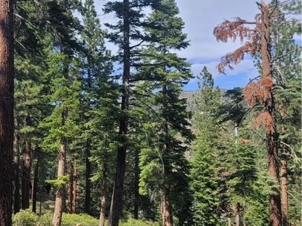 1495 Tirol Dr, Incline Village, NV 89451