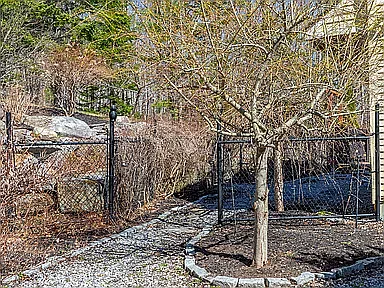 Gardens inside fencing