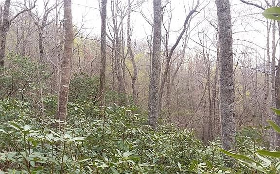 5th image of 9999 N Deer Run #4