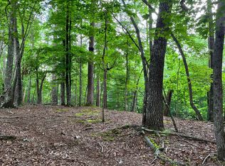 139A Parody Cir, Ellijay, GA 30540