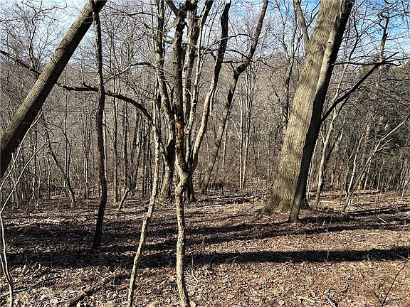 5th image of 0 Lake Wilhelm Rd