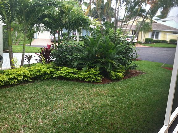 View of Yard from Patio