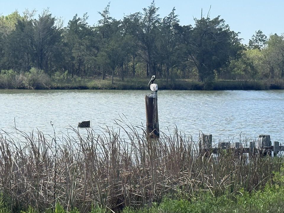 1st image of 1 W Bayshore Rd