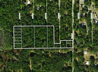 NE 137th Ct, Fort Mc Coy, FL 32134