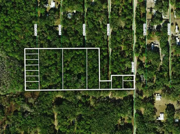 NE 137th Ct, Fort Mc Coy, FL 32134