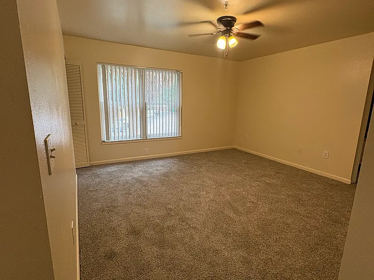 319 Balfour Dr #807 — Photo 12