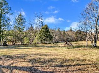 99999 Wild Horse Trl, Fletcher, NC 28732