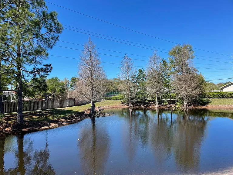 2556 W Brook Ln — Photo 17