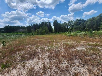 TRACT 2 County Road 1762, Linden, TX, 75563