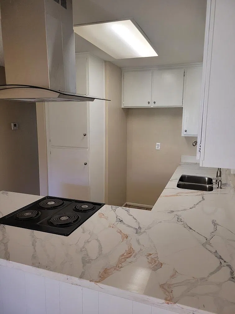 1 bed, 552 sqft, $1,900 — Photo 3