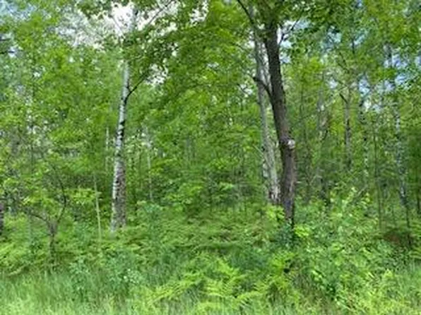 141 Montrose Dr, Mancelona, MI 49659