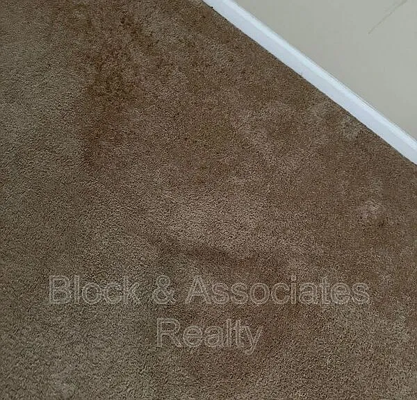 118 Reece Ct #C — Photo 11
