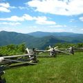 Mountain Area Nest Realty LLC
